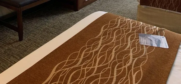 Comfort Inn Franklin Highway 96