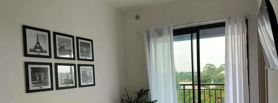TrevizZo Borba Gato