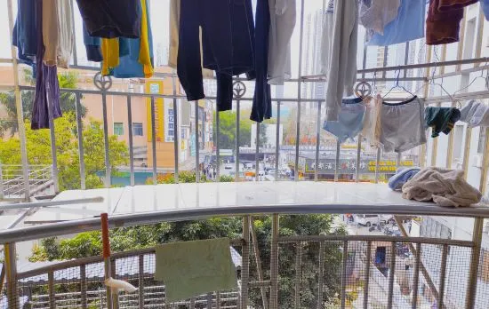 Shenzhen Qingxinyuan Youth Hostel