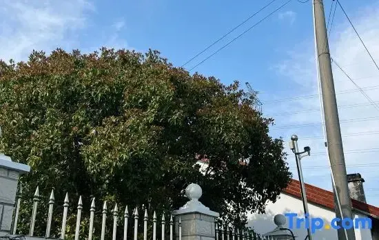 Shanghai Wuqi Xiaozhu Homestay
