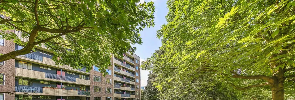 Thirties Icon By Sadler's Wells