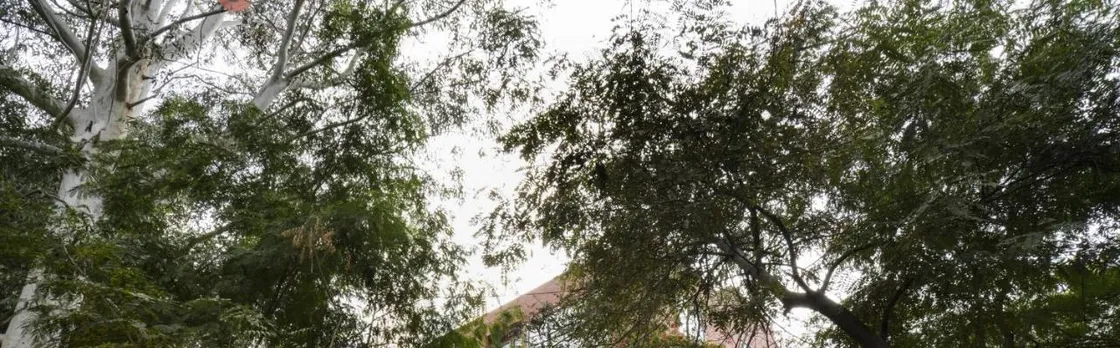 Brij Nest Jaipur