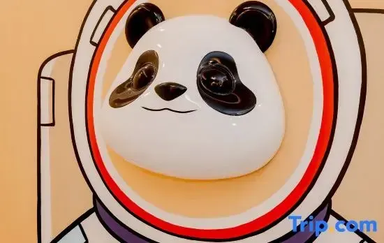 Panda Youkong Designer Suite Homestay (Chengdu Panda Base)