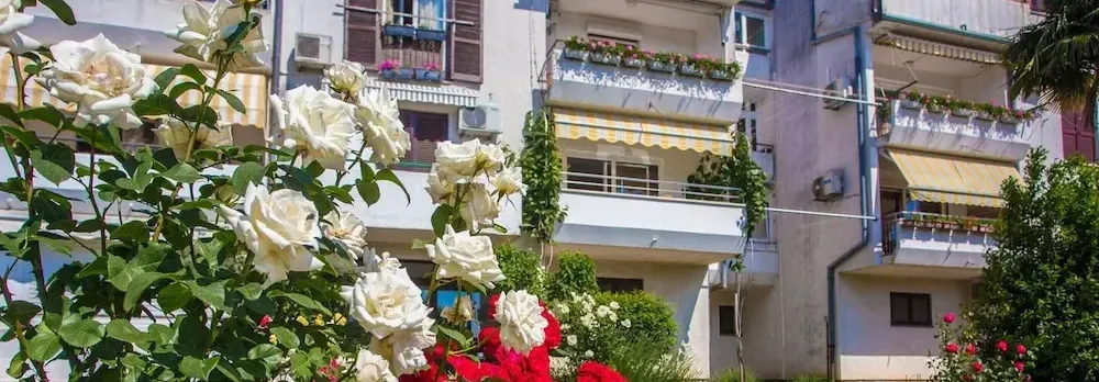 Beautiful Apartment in Prime Location