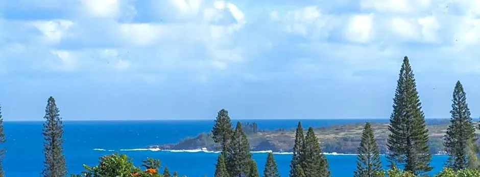 Kapalua Villas Maui