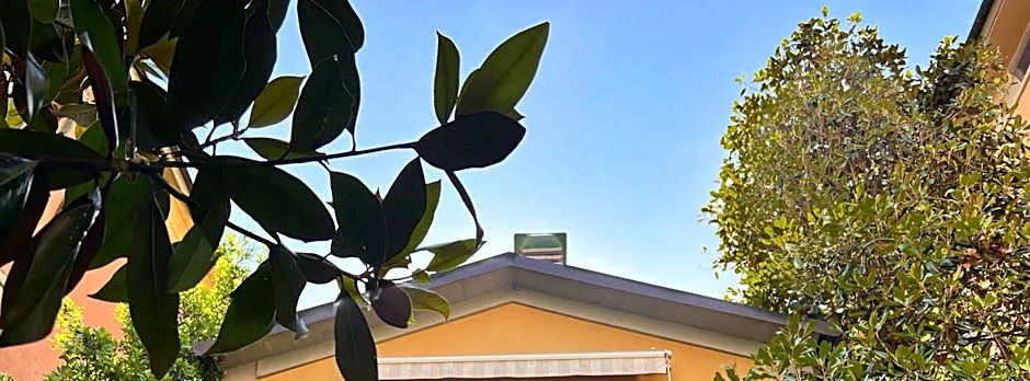 La Magnolia BB