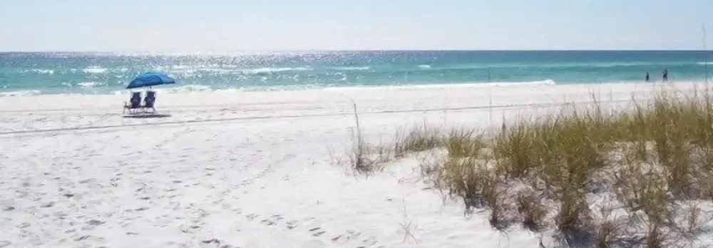 Southbay by the Gulf #122 - Salty Paws