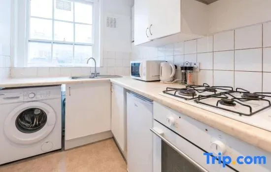 Luxury 2 Bedroom Flat in Balcombe Street