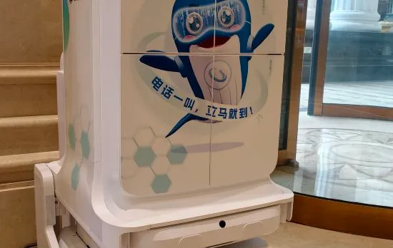 Vienna Hotel (Wuhan Tianhe Airport Penglongcheng Ju Long Avenue Branch)