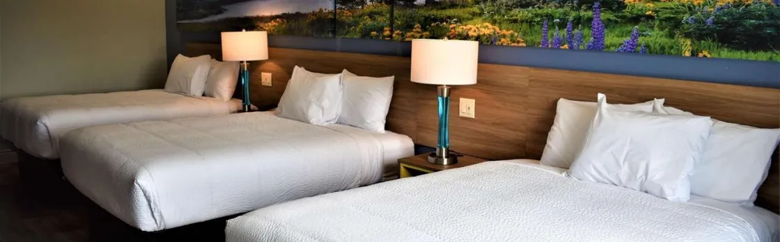Days Inn & Suites by Wyndham Downtown/University of Houston