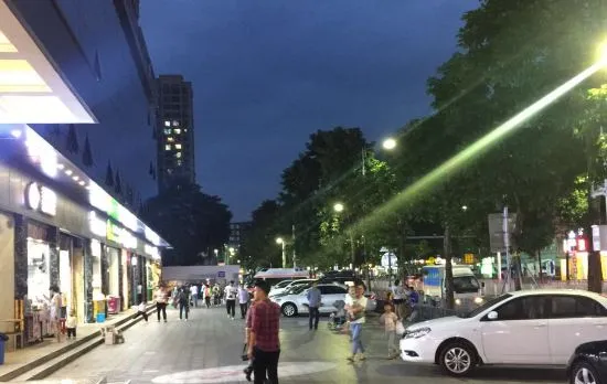 Jinsui Haoting Hotel