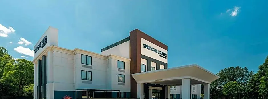 SpringHill Suites by Marriott Atlanta Kennesaw