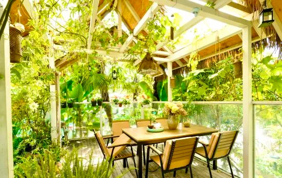 Lijiang yunxiyinshu Homestay