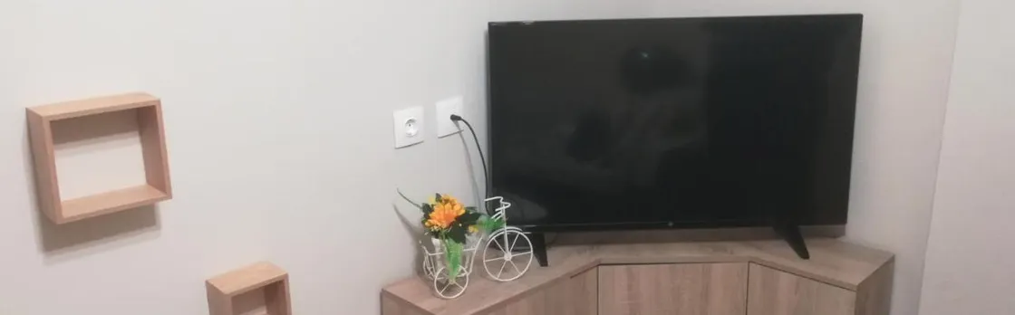Central Apartment