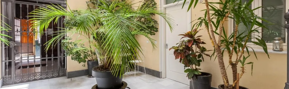 Apartamentos Mariscal