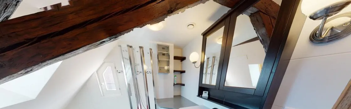 Spacious Duplex City Center Strasbourg