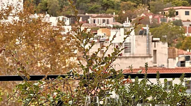 The Zillers Boutique Hotel