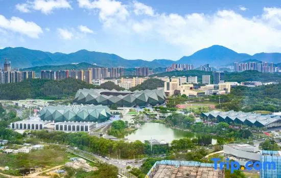 Qiuding Hotel Apartment (Shenzhen Daxing Center Longcheng Park Subway Station Store)