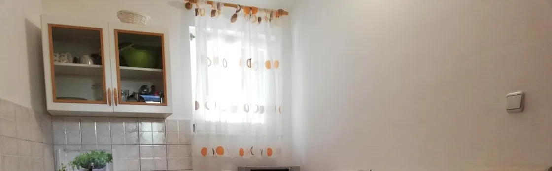 Studio Apartman Lenka