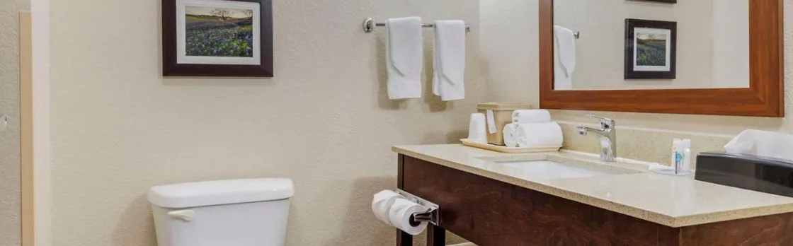 Comfort Suites
