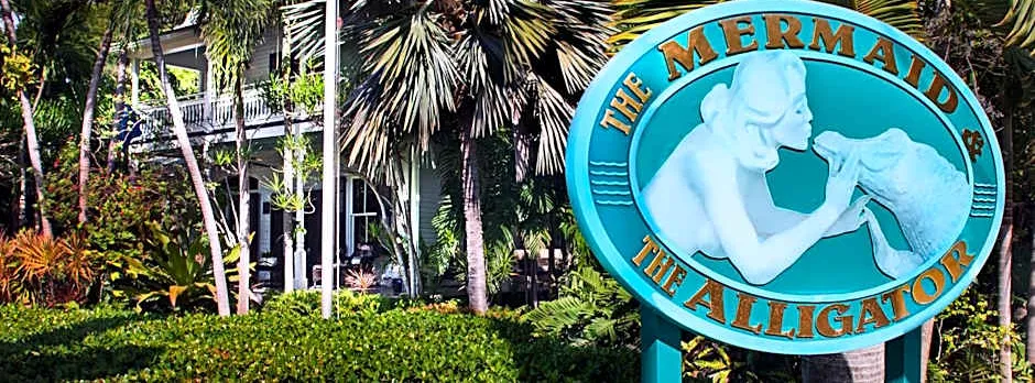 The Mermaid & The Alligator