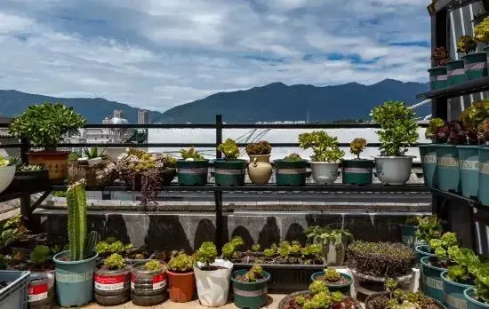Dali Yulu Hotel (Erhai Park Branch)