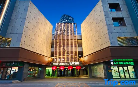 TRUE GO Hotel (Beijing Wangjing Science and Technology Park Donghuqu Subway Station Branch)