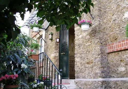 Windsor Home