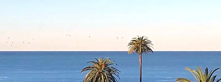 Moonlight Beach Motel