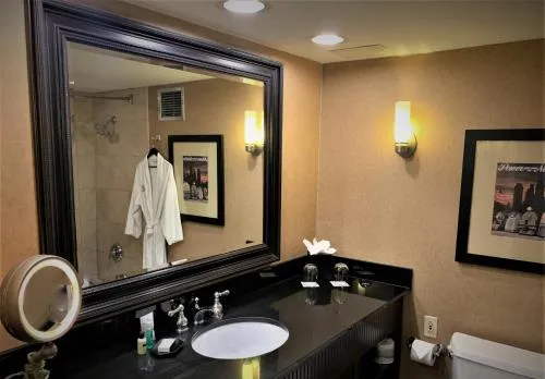 Sheraton Lisle Naperville Hotel