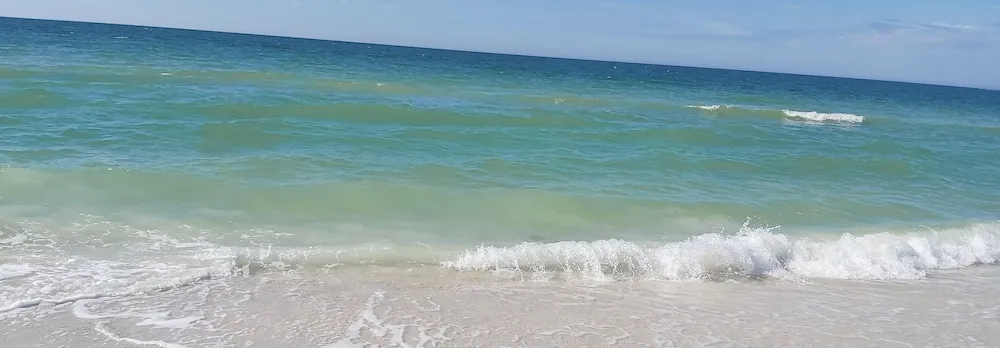 Paradise Along Boca Ciega Bay