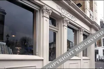 The Cuckoo N1