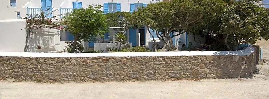Asimina
