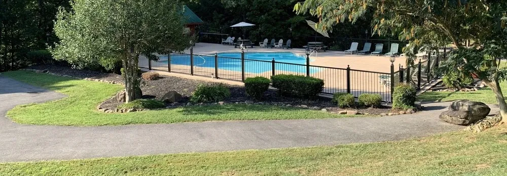 Three Little Bears by Smoky Cove Resort