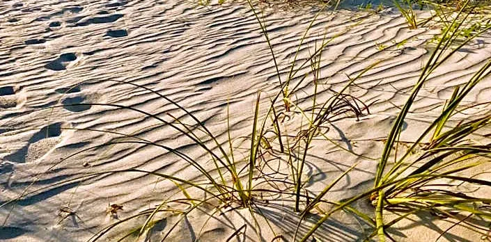 Sanibel Siesta on the Beach