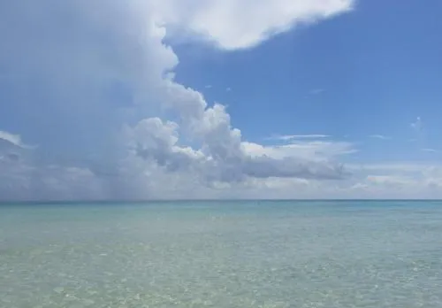 Ocean Breeze