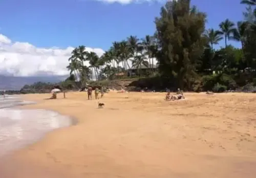 Maui Vista #1-319