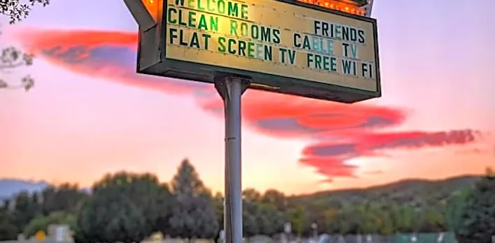 Trees Motel