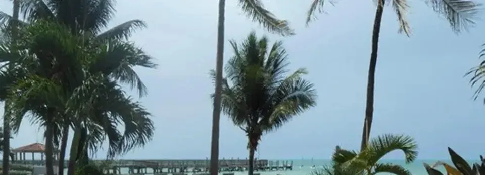Coconut Beach Resort