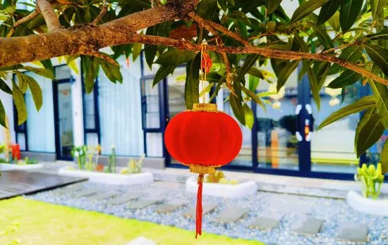 “Dali Luoyun Homestay (Caicun Wharf Branch