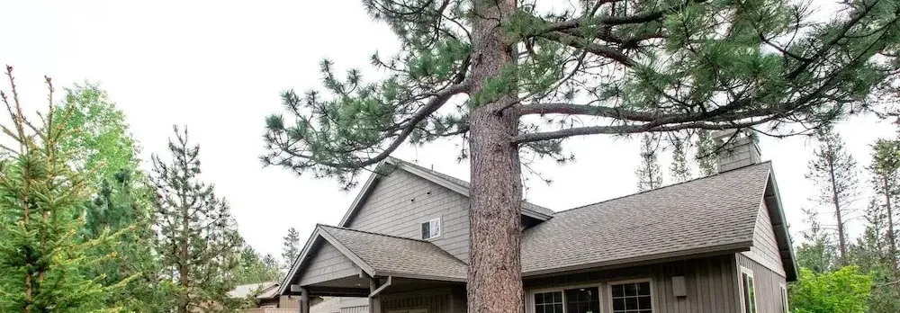 Tokatee Large Home With Hot Tub & Ping Pong