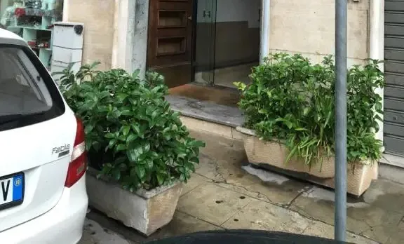 Caselita
