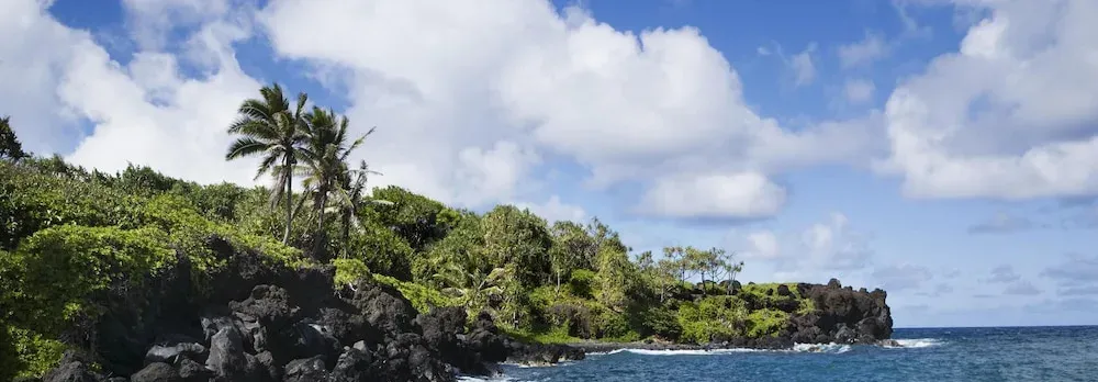 Royal Kahana 701