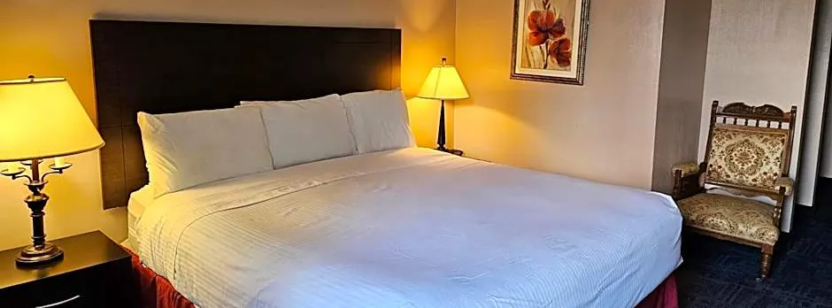 Bellis Inn