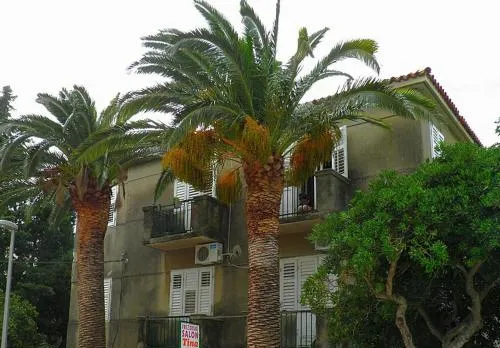 Apartmani Kokić