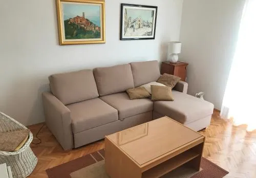 Apartment Branka