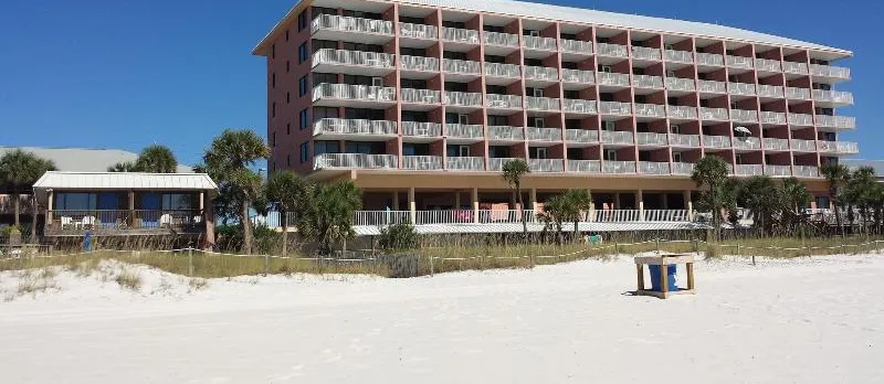 Osprey On The Gulf