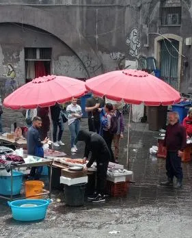 A casuzza