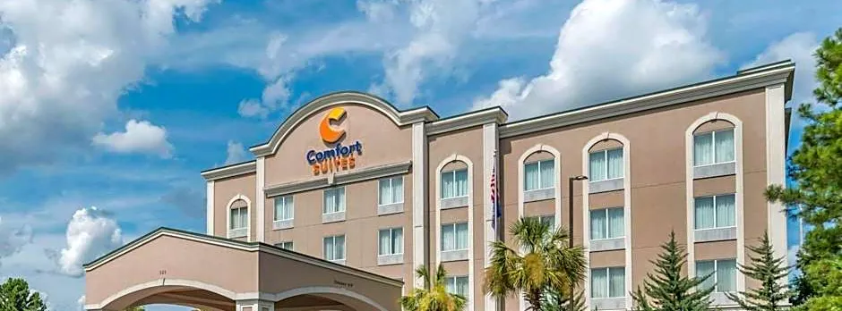 Comfort Suites Flowood - Jackson Airport (must meet transportation requirement)