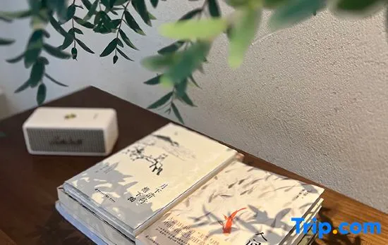 Ruye Qingju Tianyuan Jingpin Meisu